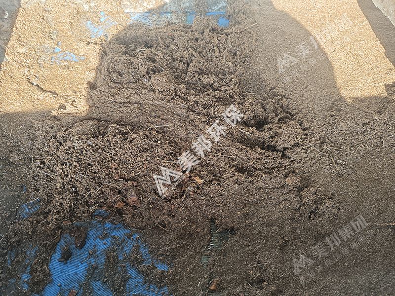 待脫水的椰糠渣.jpg 待脫水的椰糠渣.jpg